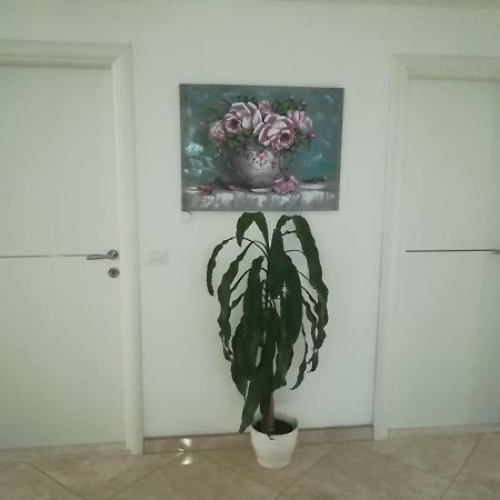 Apartman Daria Apartment Trogir Bagian luar foto